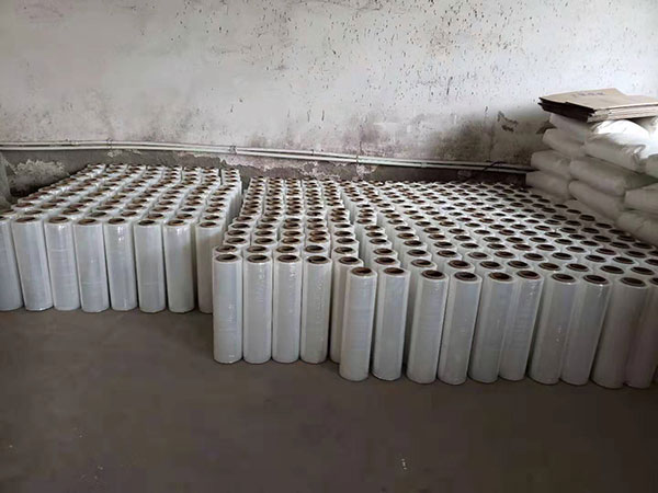 ����Ĥ����