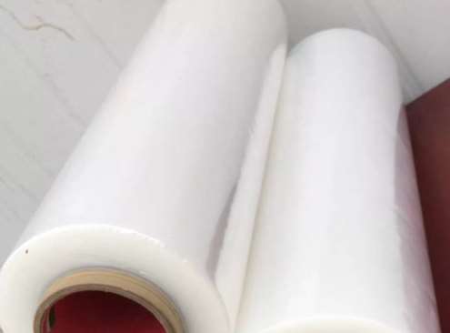 ����Ĥ֪ʶ֪����