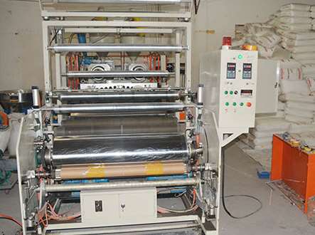 ���ڲ���Ĥ�ķ�չ����